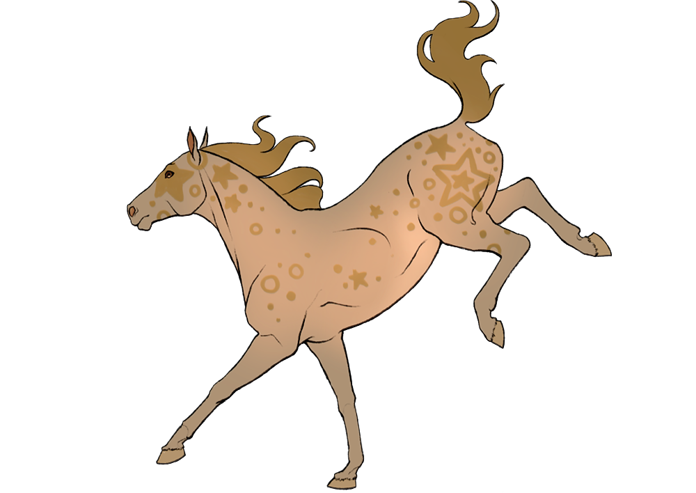 Starry Horse Bay