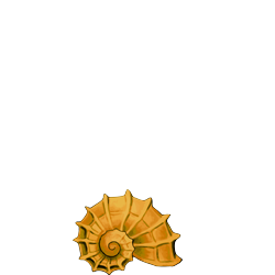 Dress-up item